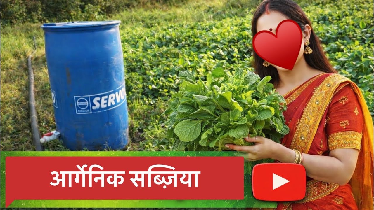 Organic Farming | जैविक खेती 