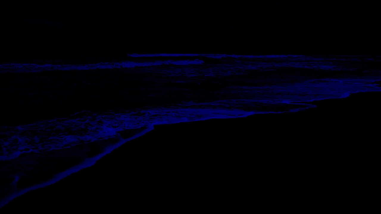 No Ads You Need to Sleep 😴 Healing Ocean Waves for Tired Minds & Deep Rest 💤 Be Calm Tonight