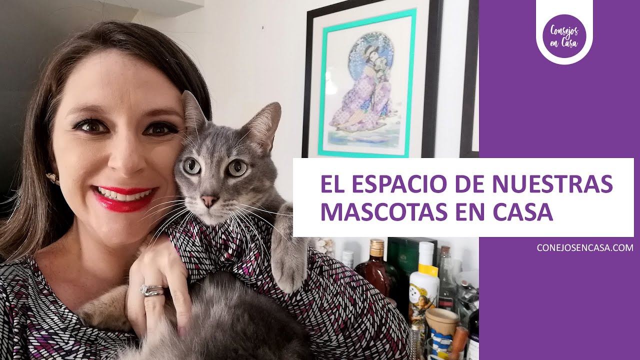 Organiza los espacios de tus mascotas | Consejos en Casa | Estefany Morales