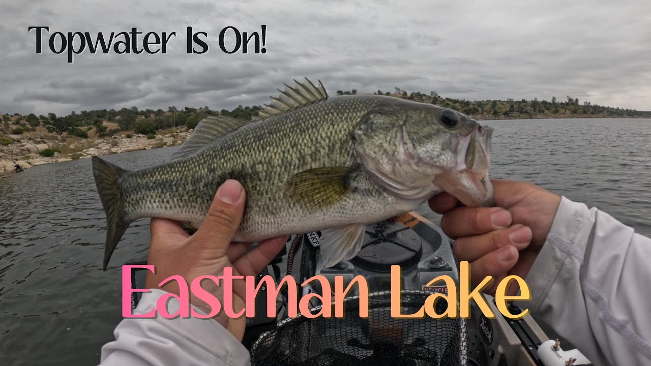 Topwater Action @ Eastman Lake || PT 6