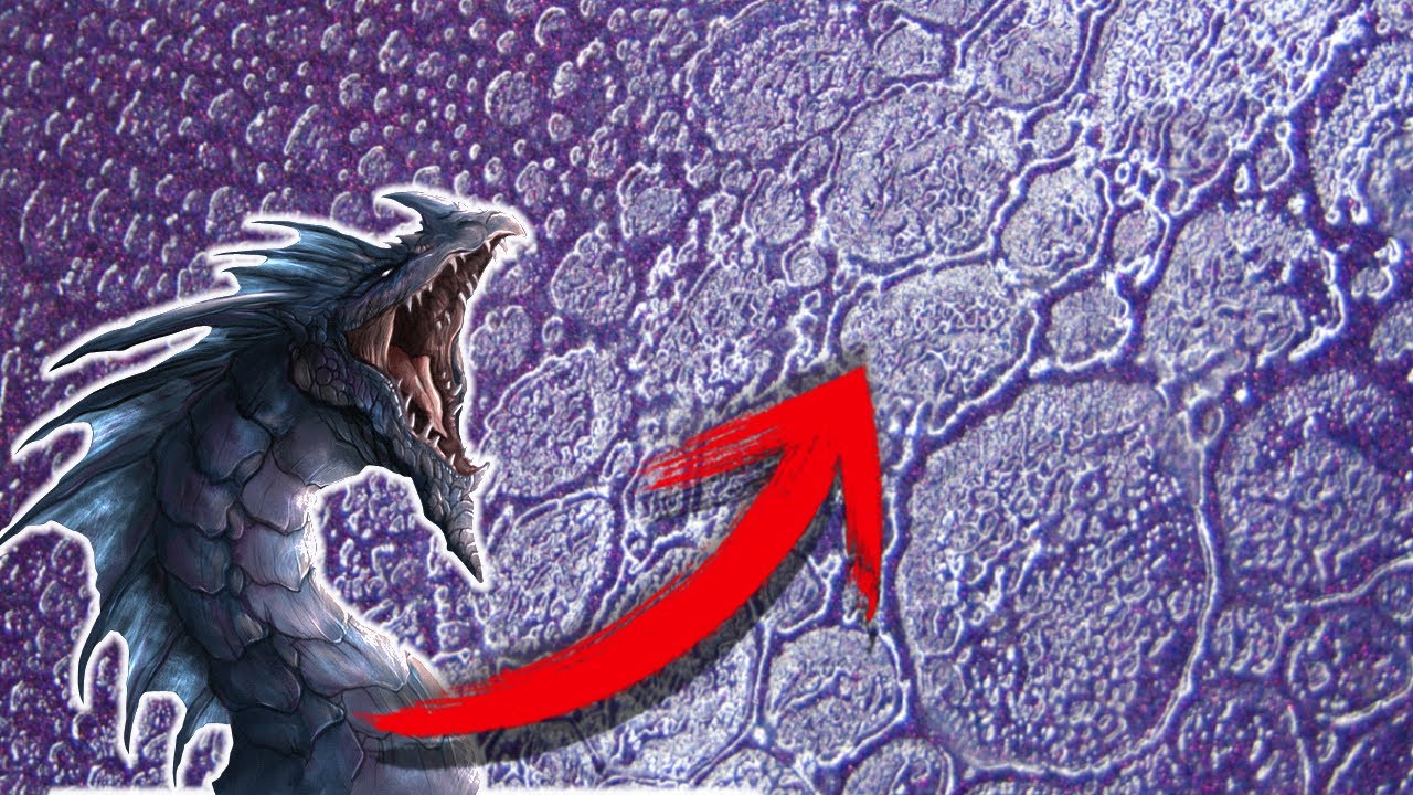 conoces la textura PIEL DE DRAGON? (hazlo tu mismo) PASO A PASO.  #texturas #efectos #manodemono