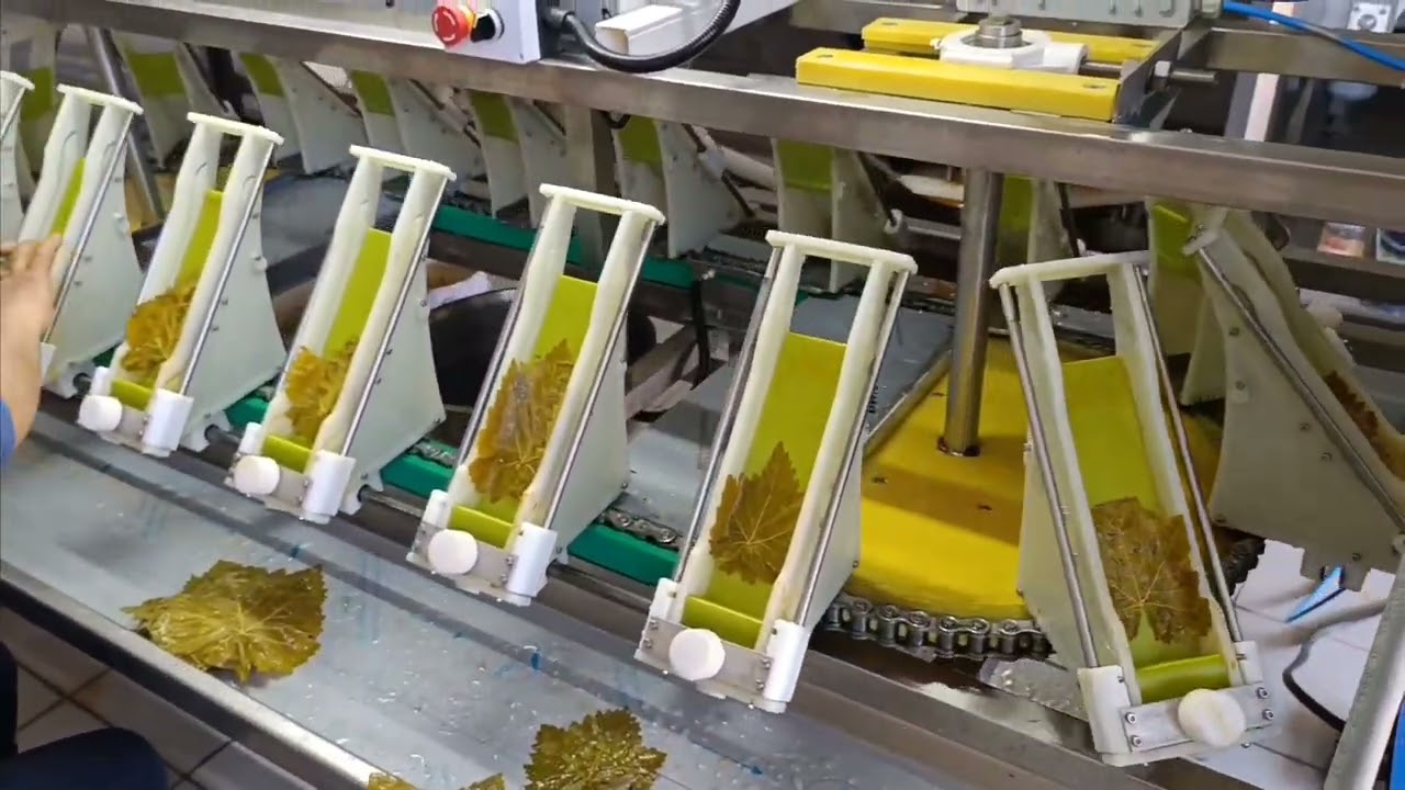 How to fold grape leaves with a machine |Grape Leaves Stuffing Machine Dolma Machine