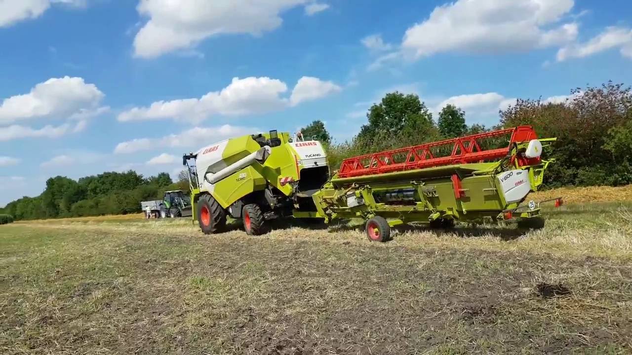 Hafer dreschen mit Claas Tucano 430 und Claas Vario 600 Bayern 2016 [german] [HD]