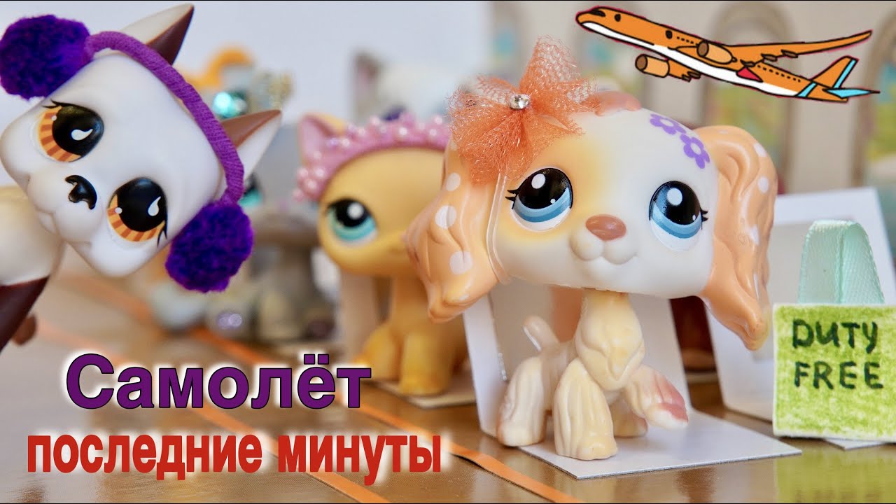 LPS САМОЛЁТ последние минуты жизни / littlest pet shop