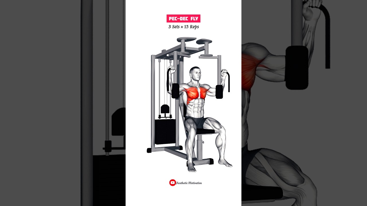 The Ultimate Chest Workout at Gym 🔥 #chestworkout