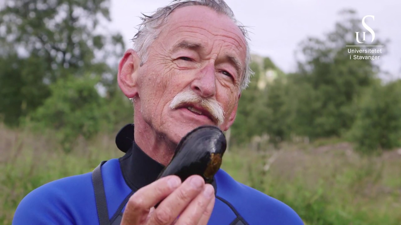 Dette kan elvemuslingen fortelle oss