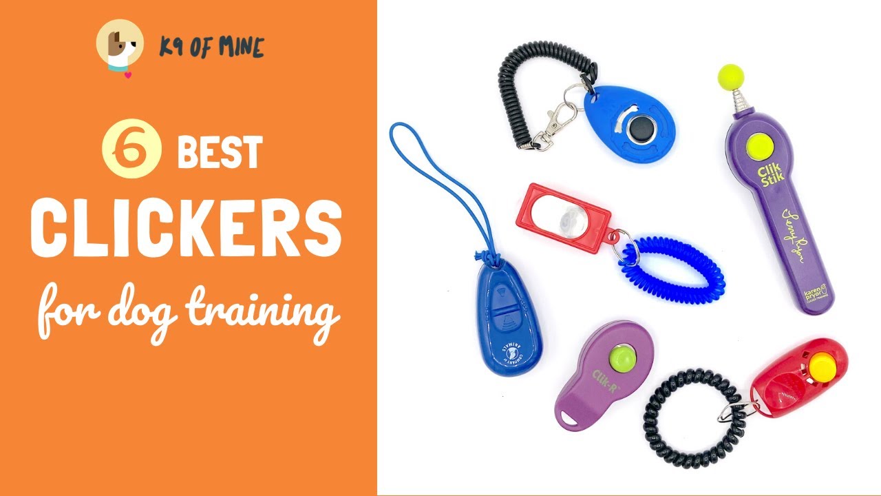 The Best Clickers for Dog Training: A Clicker Review!