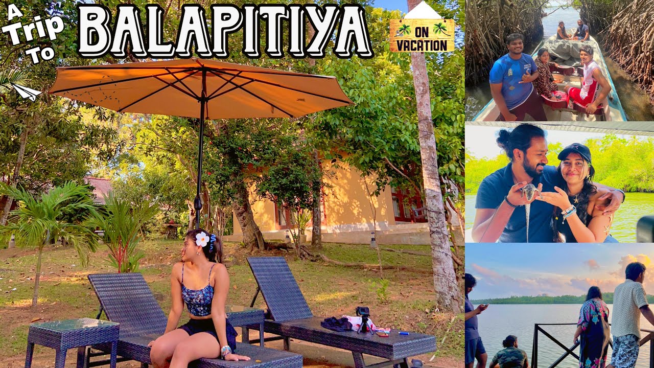 නිකී එක්ක මාදු ගගේ ගියා♥️/Balapitiya Travel vlog/ Madu river Safari / Family trip/ Nikitha