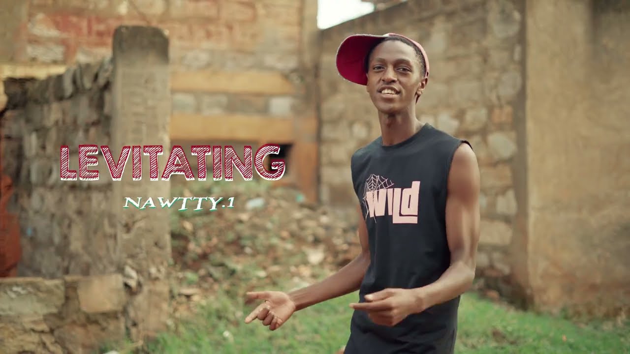 LAVITATING (VISUALIZER]