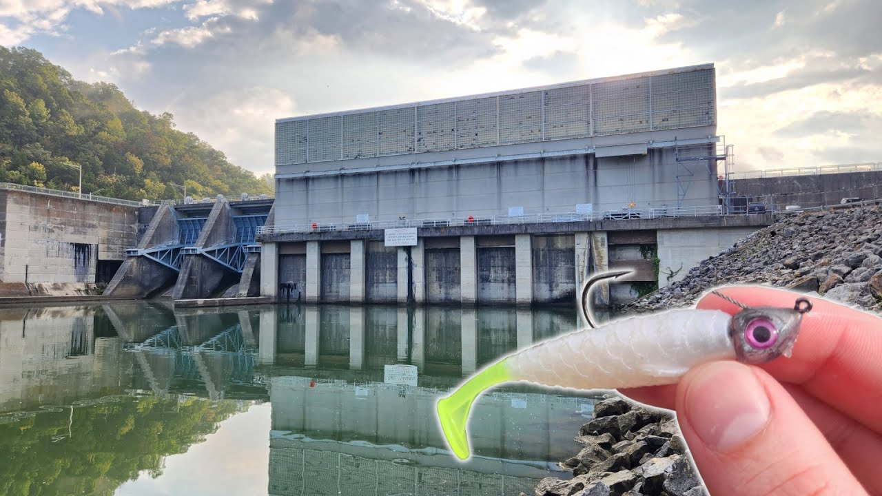 White Bass Spillway INVASION! The Spring Run is on!!