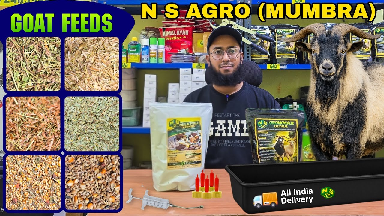 Новое начало 🤩 N S AGRO FEEDS (Мумбра) ▪︎ Все корма и продукты для козоводства
