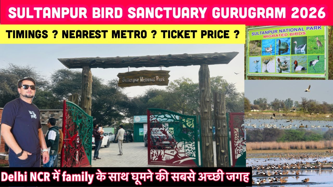Sultanpur National Park | Sultanpur Bird Sanctuary | Sultanpur National Park Gurugram Haryana 