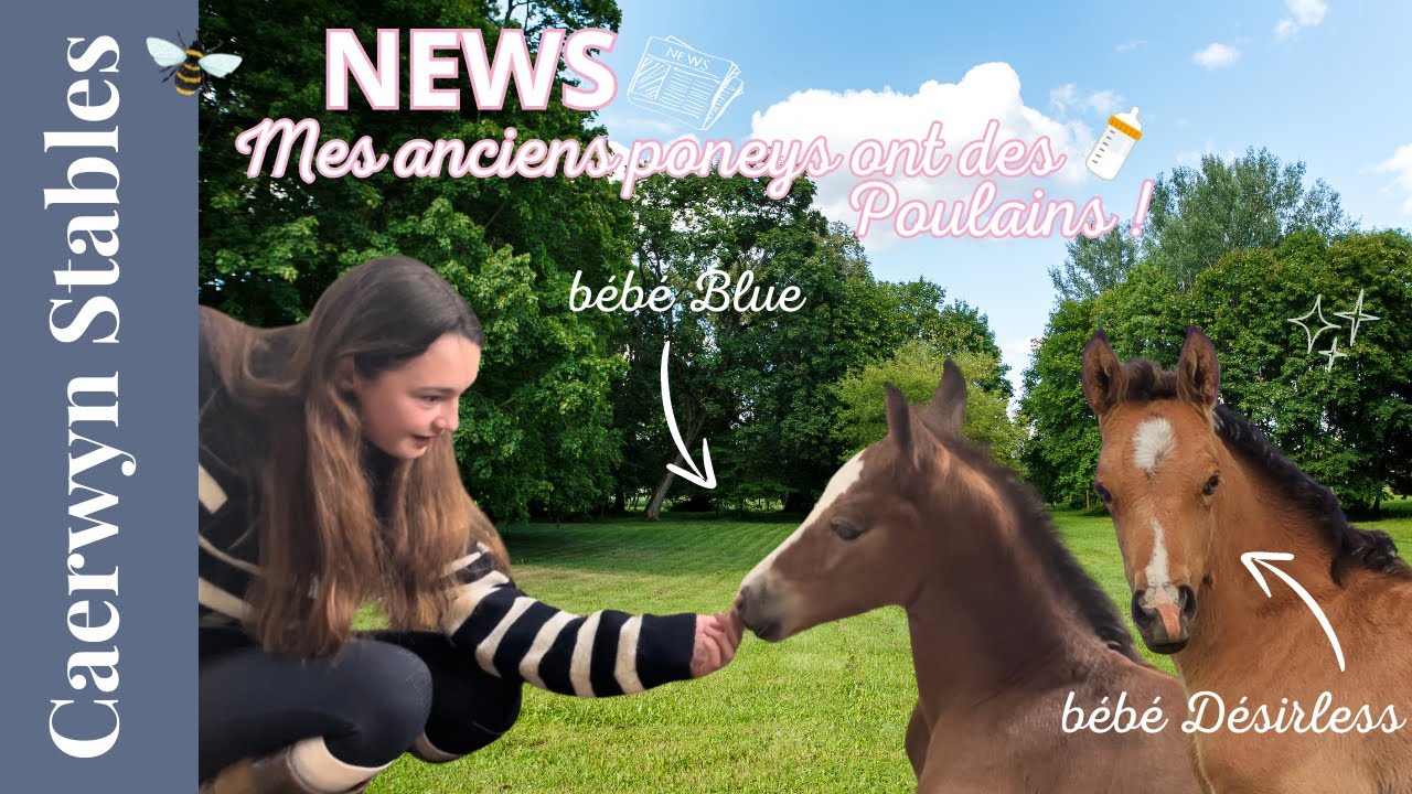 🌿l Spring at Caerwyn Stables l Le Mag de Zoe ➡️ Blue et Desirless ont des poulains ?! l🐝