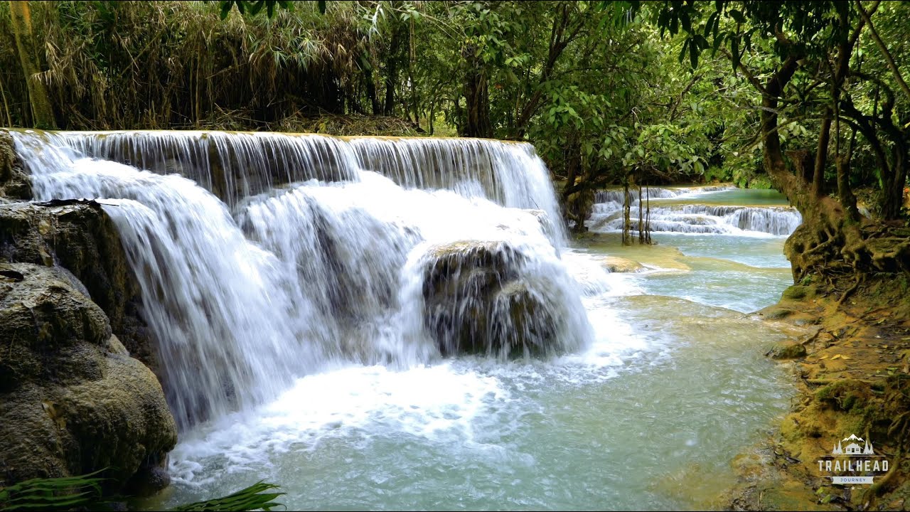 The Amazon Rainforest is very soothing