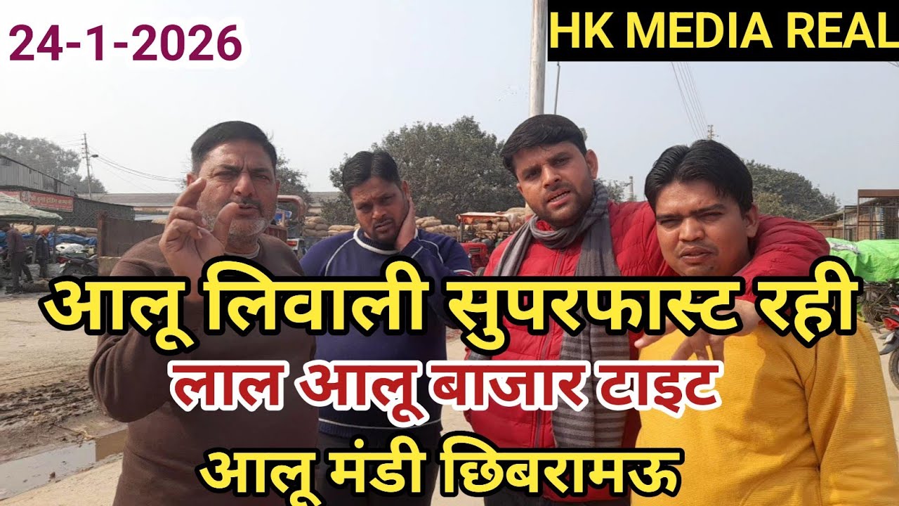 24-जनवरी-2026- आलू बाजार में आमदनी की बहुतायत, बाजार रहे स्थिर, लाल आलू टाइट, छिबरामऊ मंडी