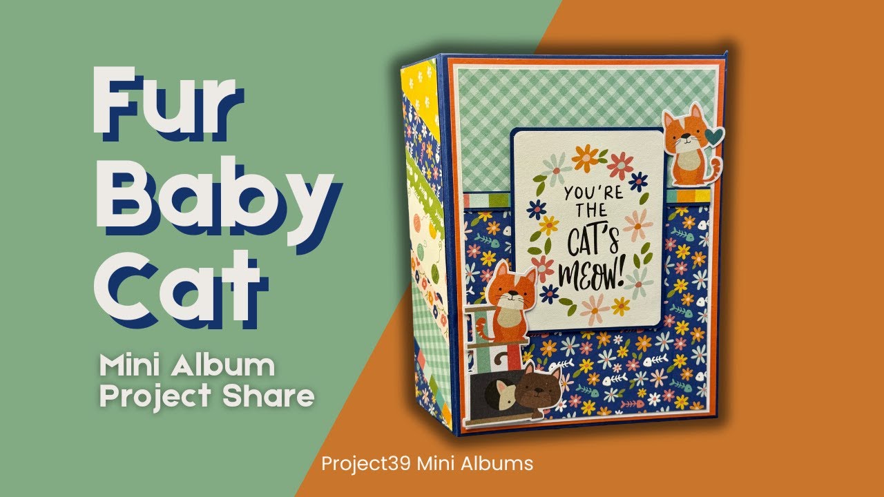 Using my Stash to make a Fur Baby Cat Mini Album Project Share