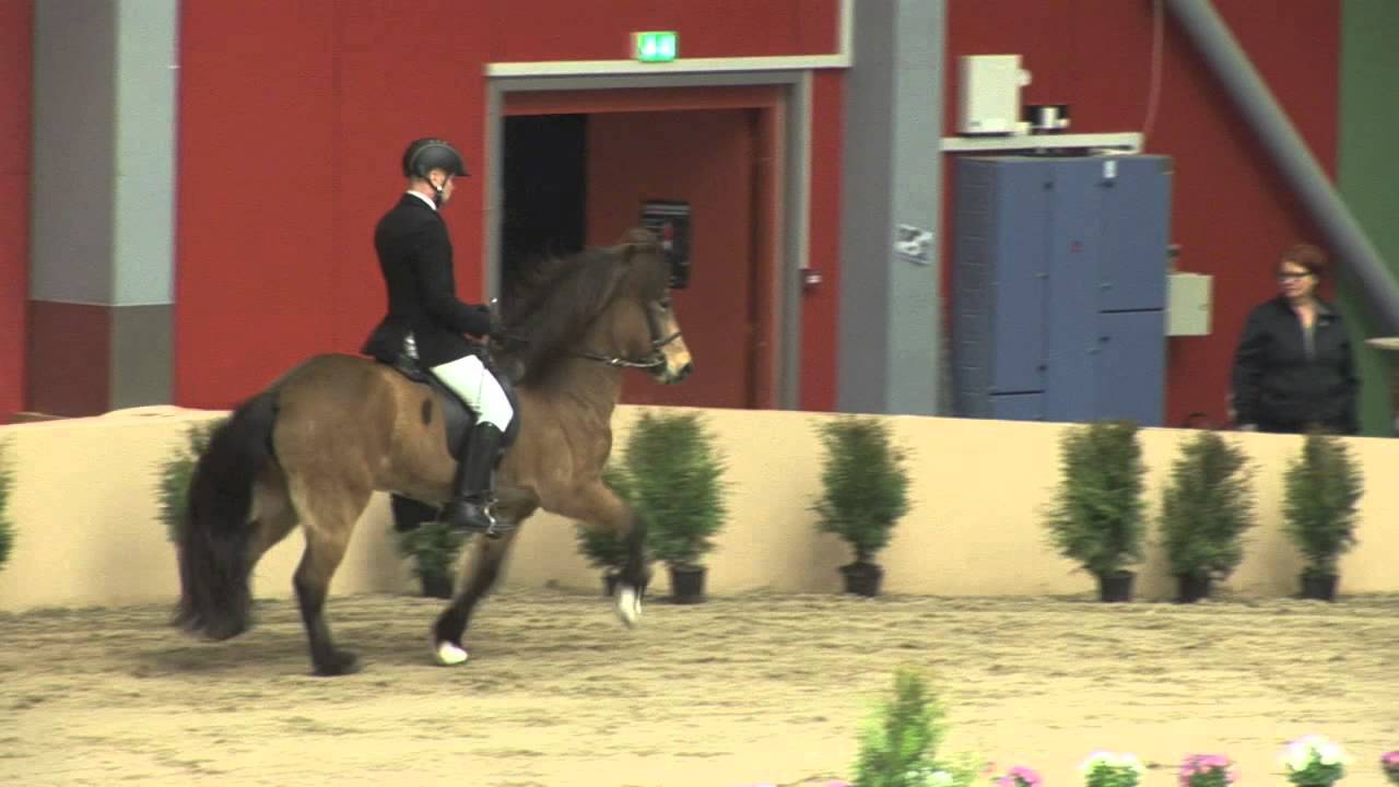Worldtoelt 2013 - T1 forkeppni