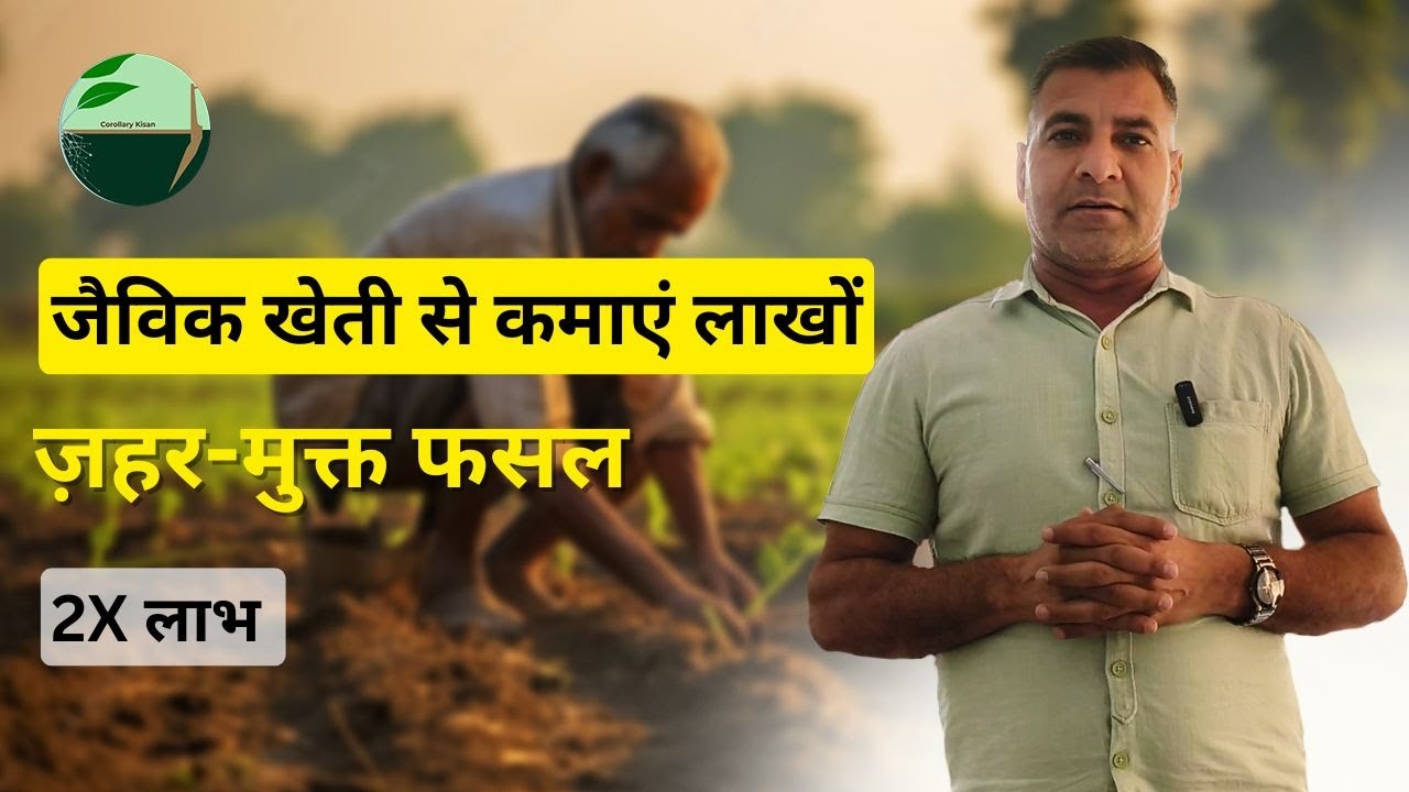 1388-Kisankaryashala: (बीमारी से दूर) जैविक खेती से कमाएं लाखों: ज़हर-मुक्त फसल  RahulJawan के साथ।