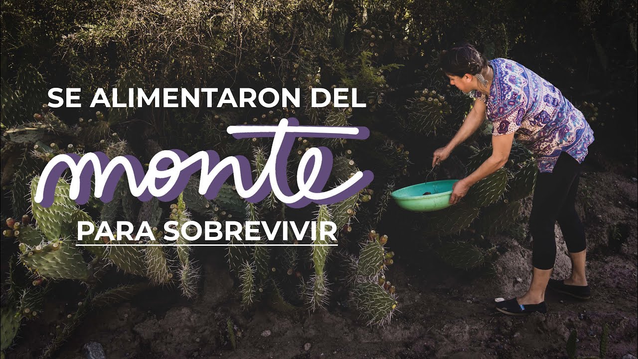 SE ALIMENTARON DEL MONTE PARA SOBREVIVIR | algarrobo, tuna y familia.