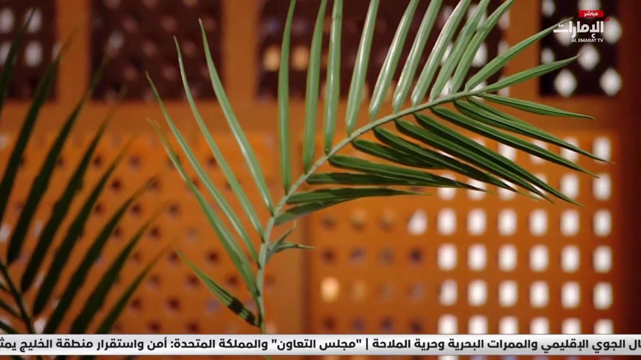 مباشر | لا تفوتوا #الشارة مع سلامة المهيري على #قناة_الإمارات