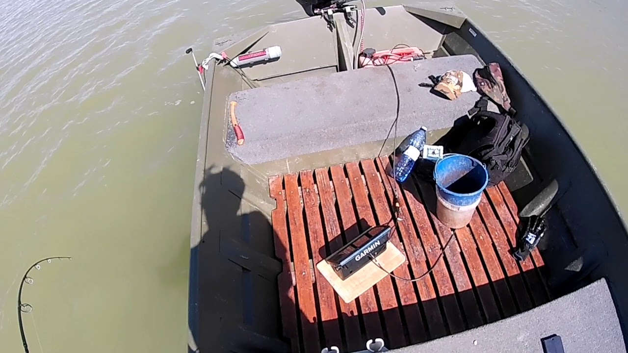 Clonking for giant catfish on the  Ebro- 230 cm-es kuttyogatott harcsa kapása és fárasztása az ebrón