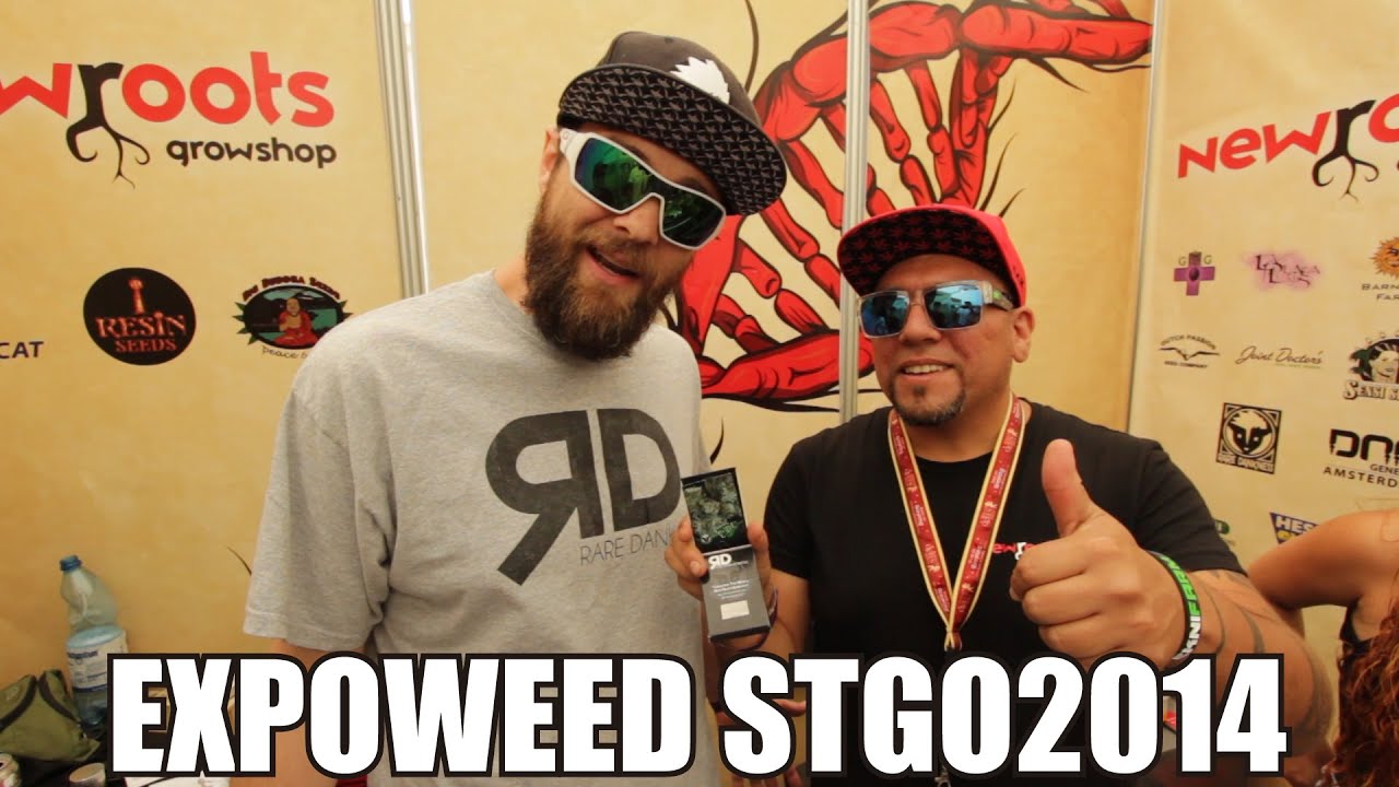Scott Reach visit New Roots Growshop
