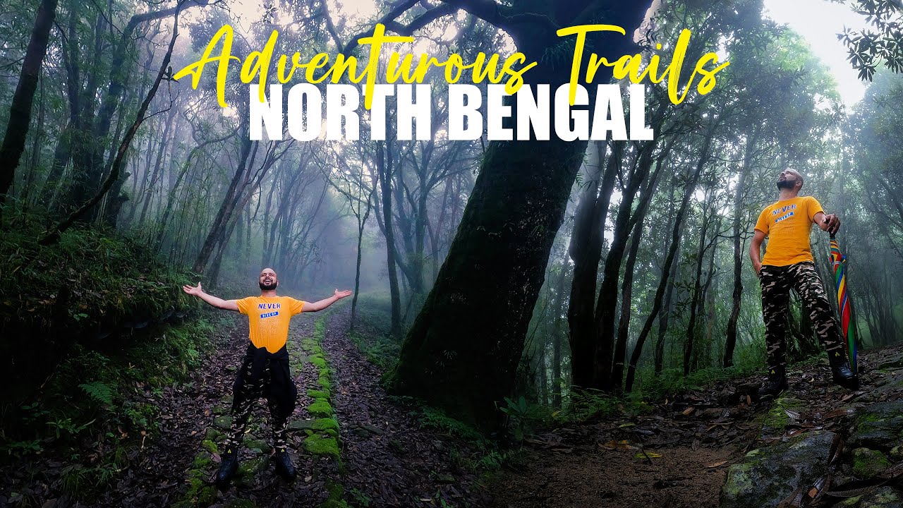 DAY-5 | dhotrey to tonglu trek | dark forest trek | singalila national park | offbeat north bengal