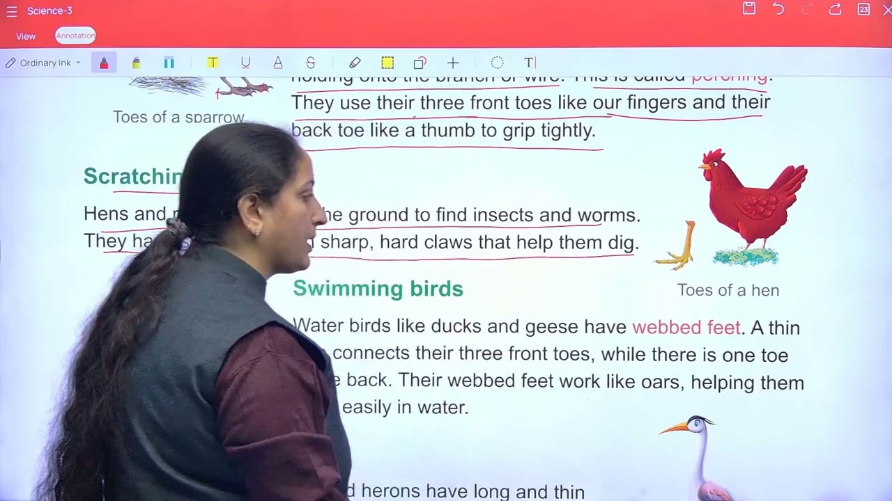 Science 3 ch 4