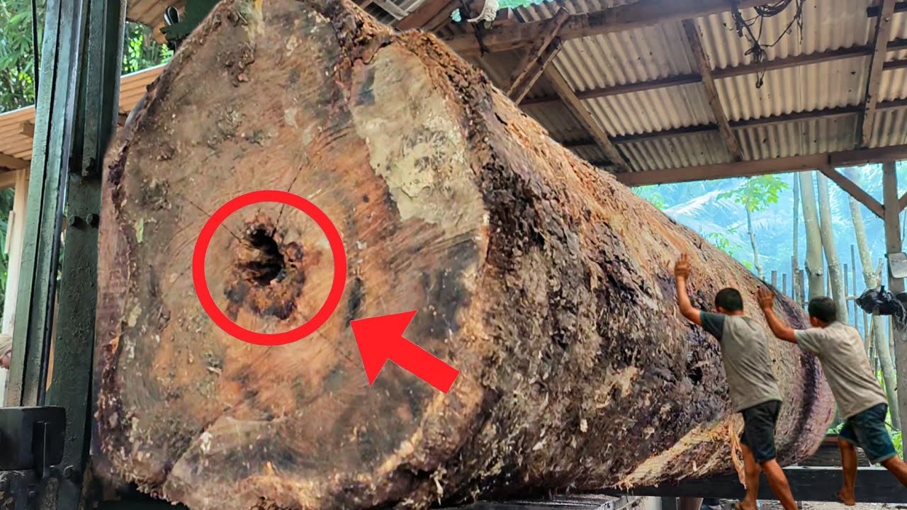 Dangerous Curse Sign!! Challenging sawing of hollow teak wood at the sawmill 