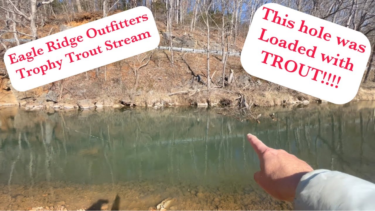Eagle Ridge Outfitters Trophy Trout Stream - WORLD FAMOUS Cripple Ck! Fishing in FREEZING Conditions