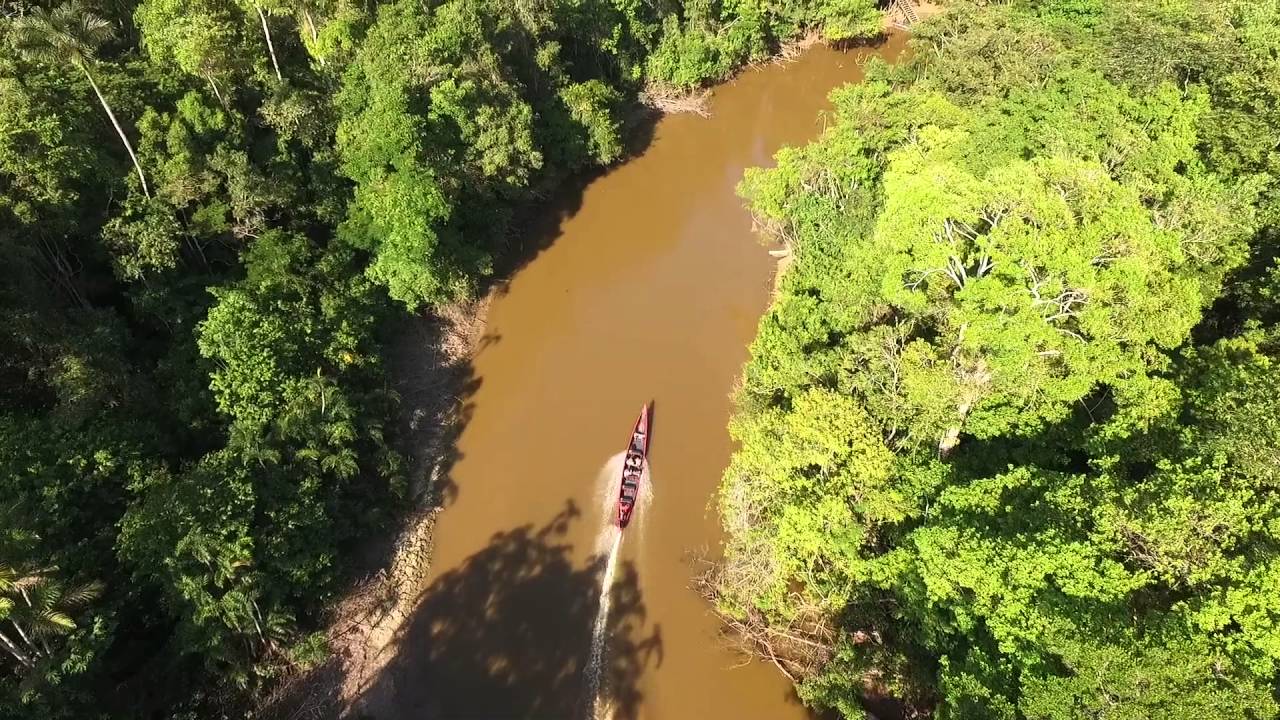 4K (UHD) Amazonas-Cuyabeno Lodge from above