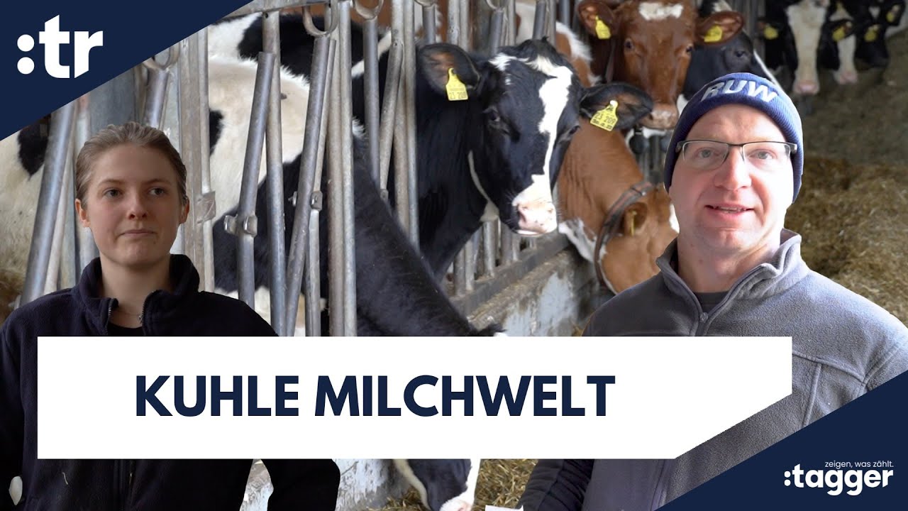 Munteres Treiben in Jülich | Milchhof Flatten