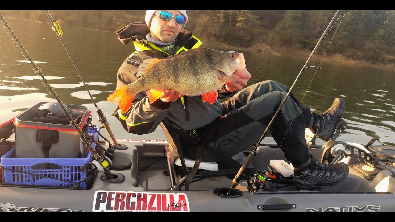 PERCHZILLA SPAIN BIG PERCH.