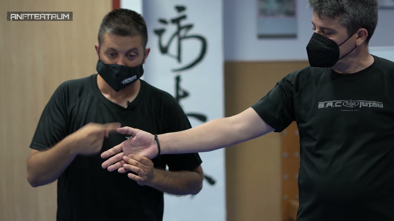 KYUSHO JITSU  Espa&ntilde;ol   Los principios  Artes Marciales  Puntos vitales