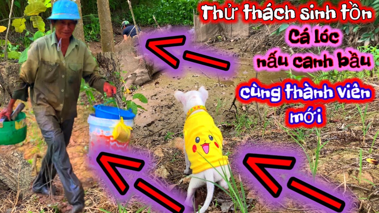 Thử Thách Sinh Tồn Với Thành Viên Mới | Cá Lóc Nấu Canh Bầu | Sơn Ngố Vlog