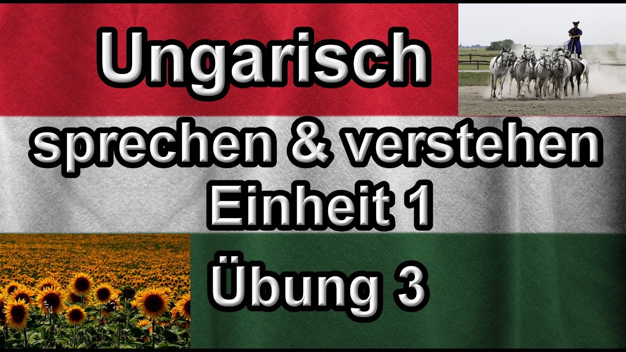 Ungarisch FSI Kurs, Einheit 1, Übung 3 - Übersetzen (Ungarisch sprechen lernen für Anfänger)