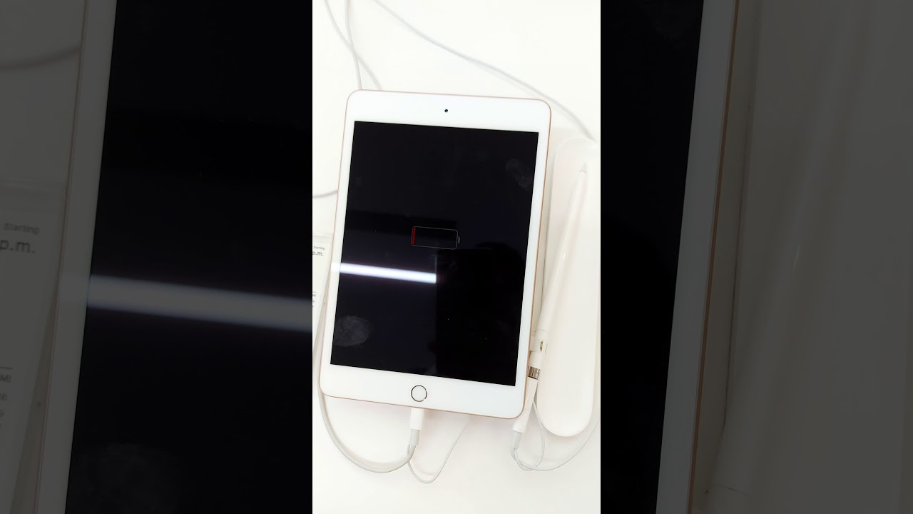 Apple iPad Mini 7.9
