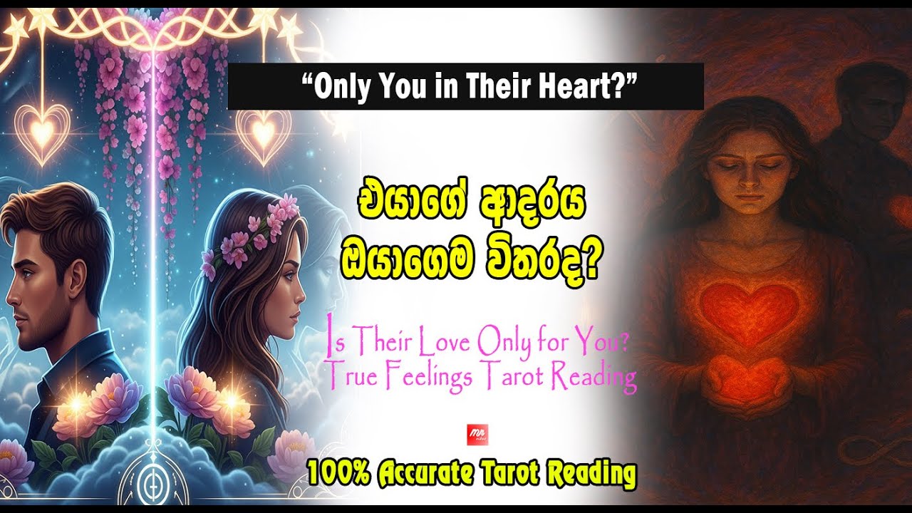 එයාගෙ ආදරය ඔයාගෙම විතරද? ටැරොට් අනාවැකි.💞 Is Their Love Only for You? | True Feelings 