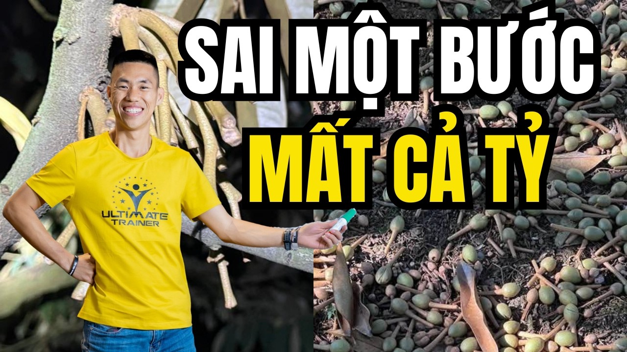 Thông điệp khẩn cấp gửi tới các chủ vườn muốn kiểm soát đọt sầu riêng mùa mưa | Phạm Đức Thiện