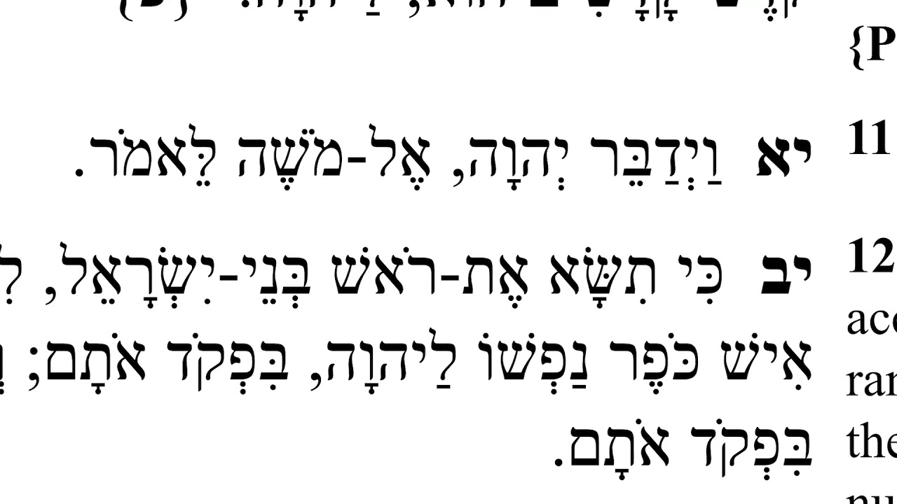 Exodus 30:11-13 (Ki Tisa) in Hebrew
