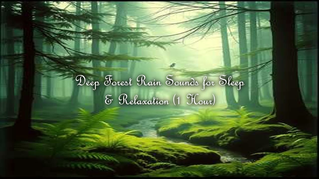 [스며들다]  Deep Forest Rain Sounds for Sleep