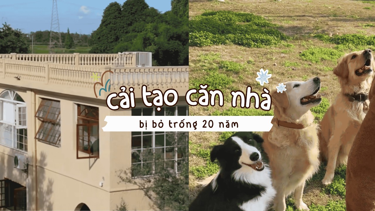 『P1』T&ocirc;i v&agrave; bạn th&acirc;n đ&atilde; mua lại căn nh&agrave; cũ nhỏ 20 năm kh&ocirc;ng ai ở #caitaonha #douyin #decor