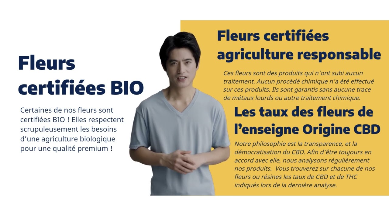 Comment Choisir ses Fleurs et R&eacute;sines ? Origine CBD R&eacute;pond !