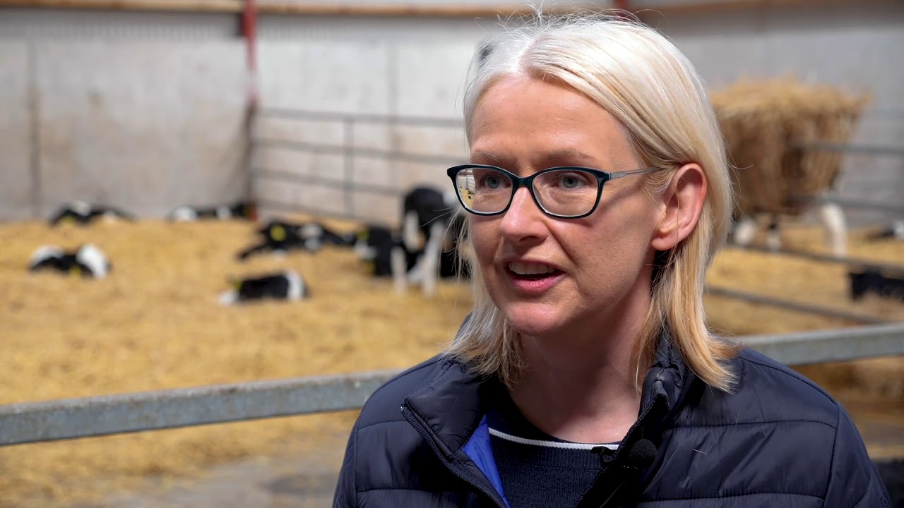 Calf Rearing with Michael and Fiona Ryan from Tipperary