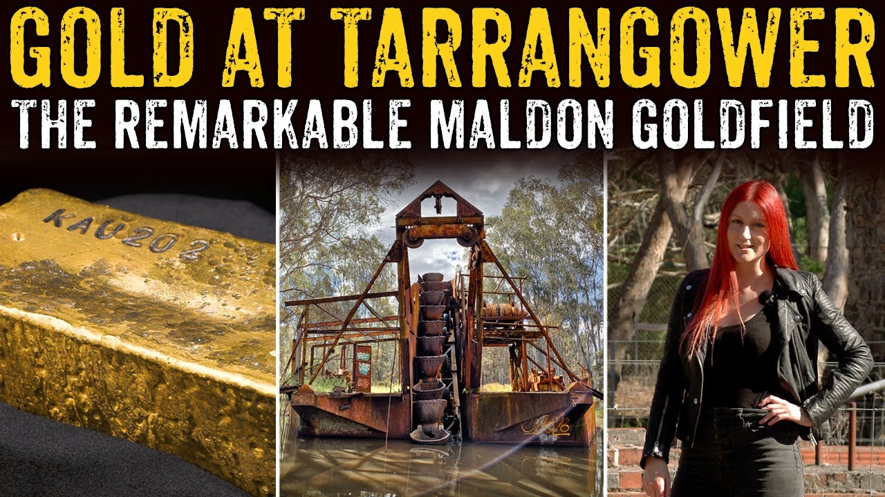 The Remarkable Maldon Goldfield
