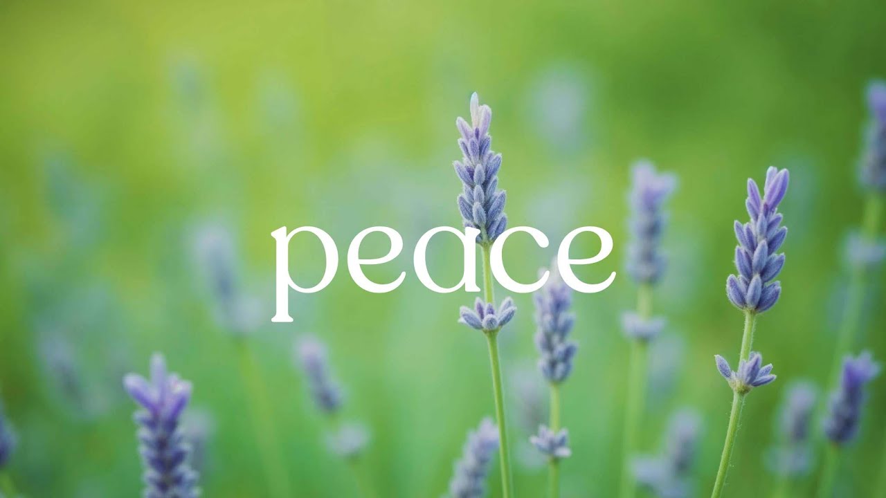 Peace of Mind 🌿 Gentle Piano for Relaxation, Focus, Deep Calm, Acoustic Guitar for Mindfulness