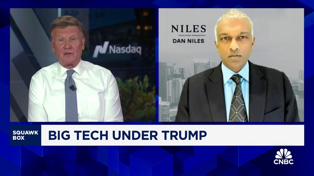 Dan Niles: An equal-weighted basket of stocks makes the most sense under a second Trump term