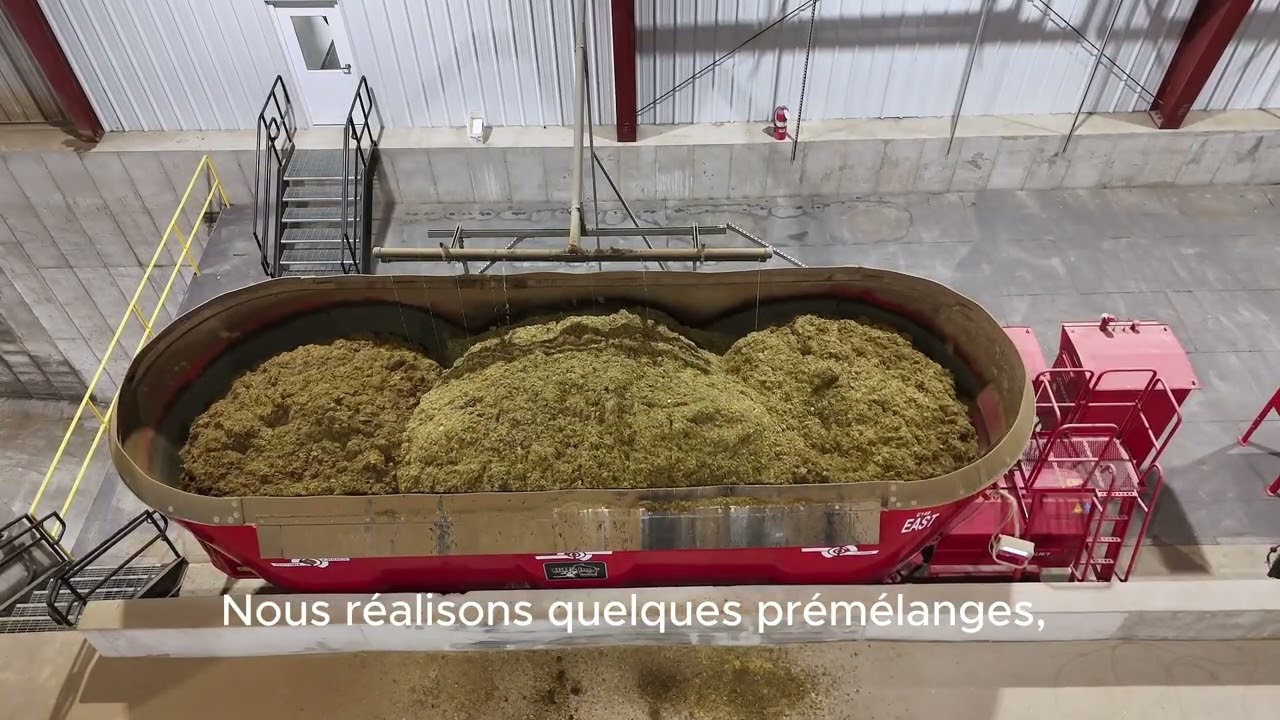 Nourrir 9 000 vaches avec seulement 2 mélangeuses stationnaires Trioliet - Kinnards F