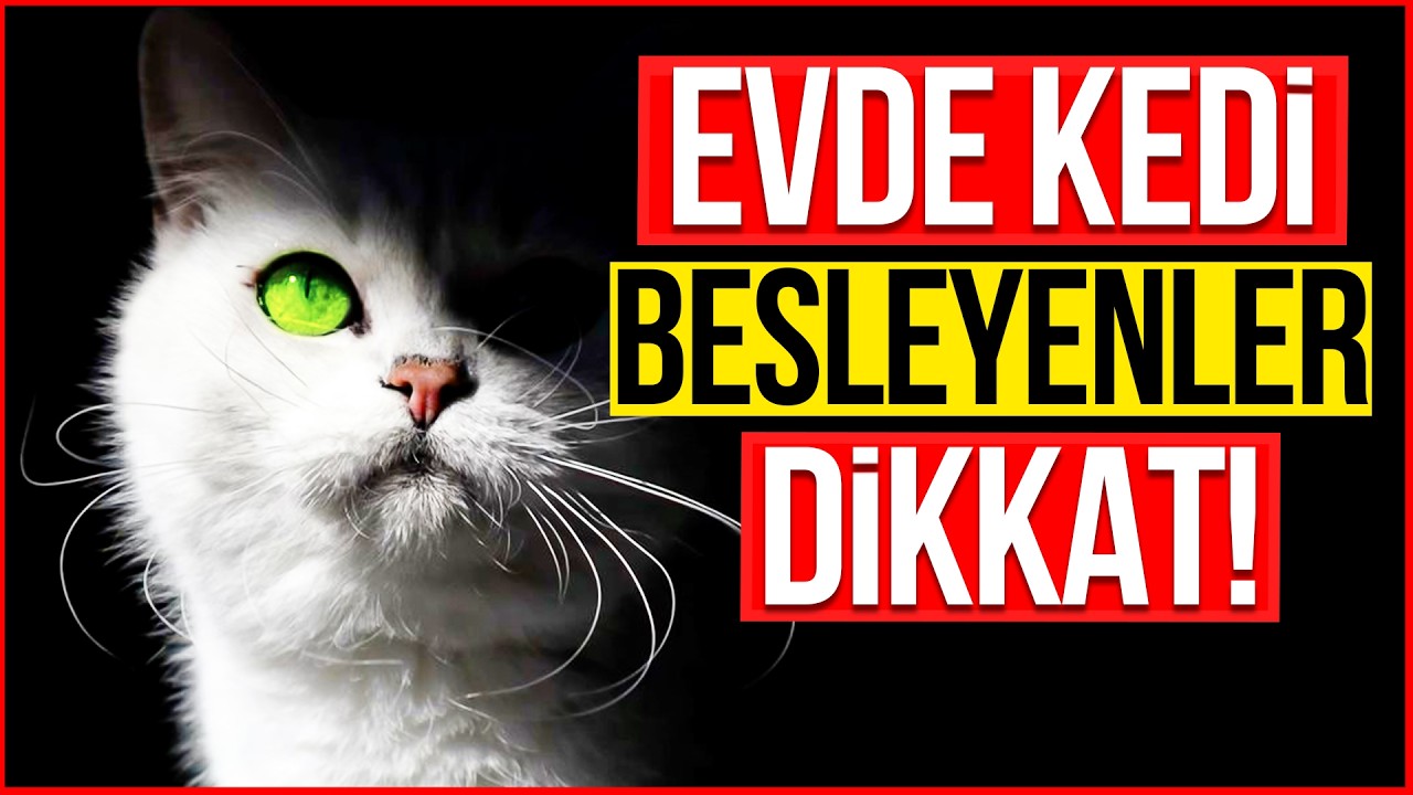 Evde Kedi Besleyenler Dikkat!