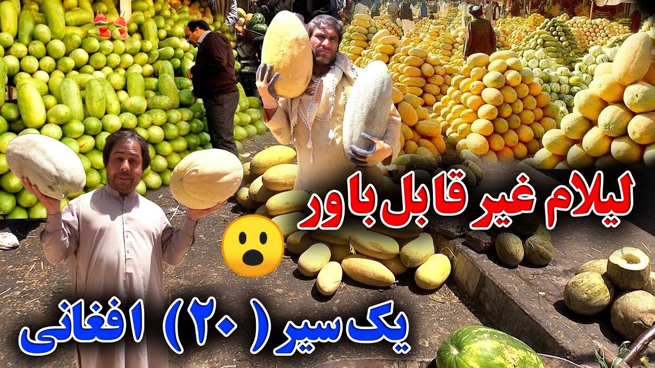 لیلام غیر قابل باور / فروش ۷ قسم خربوزه در کابل